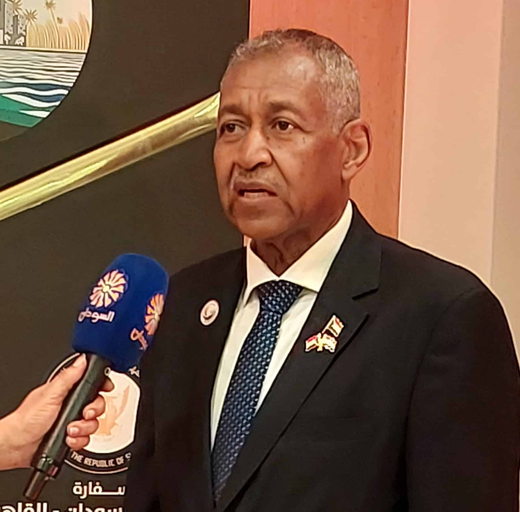 السفير عماد الدين عدوي ـ سفير السودان في القاهرة